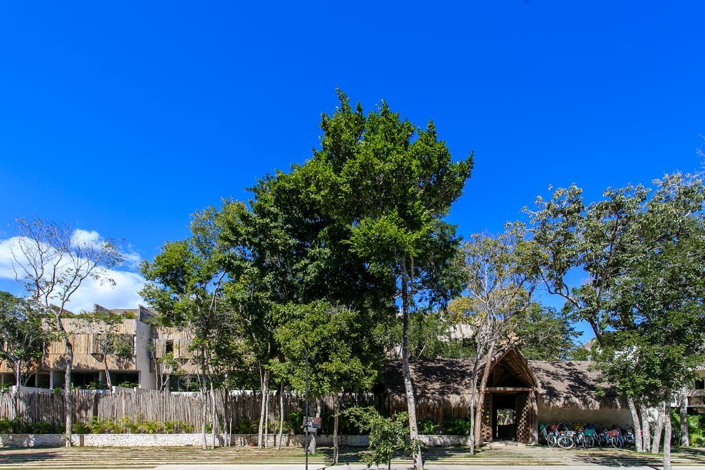 Eco-Chic Design Condos Wrapped In Nature'S Elements By Stella Rentals Tulum Exterior foto